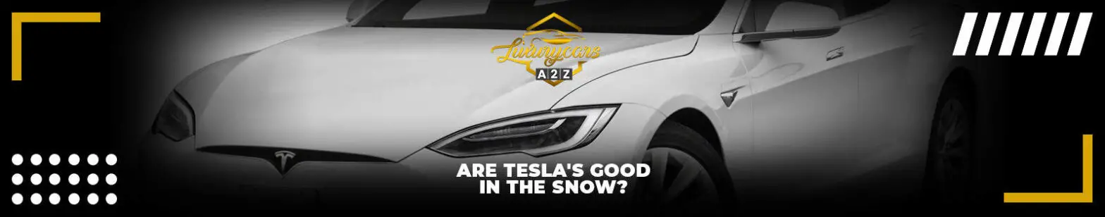 Är Tesla bra i snö?