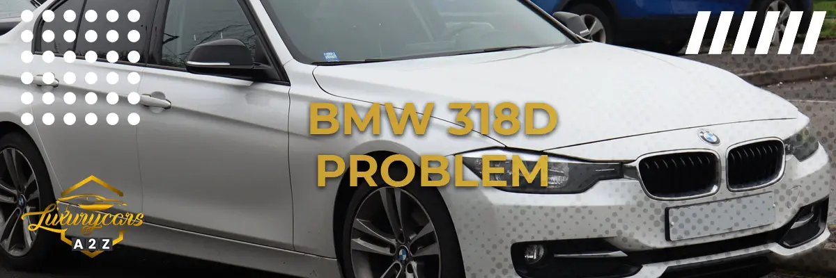 BMW 318d Problem