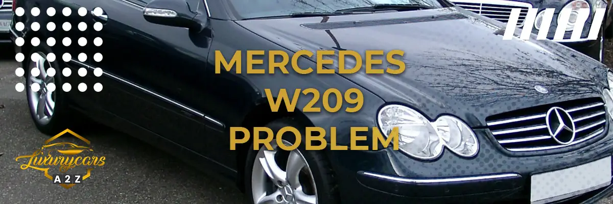 Mercedes W209 problem