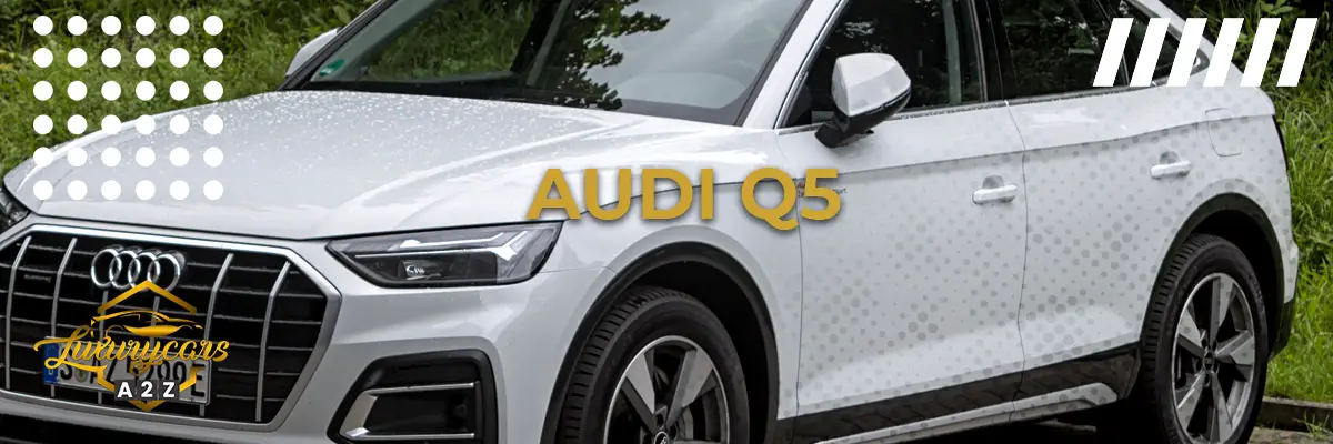 Bästa året för Audi Q5