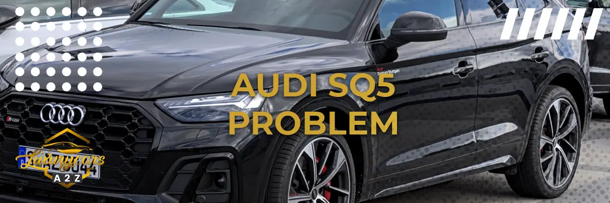 Audi SQ5 problem