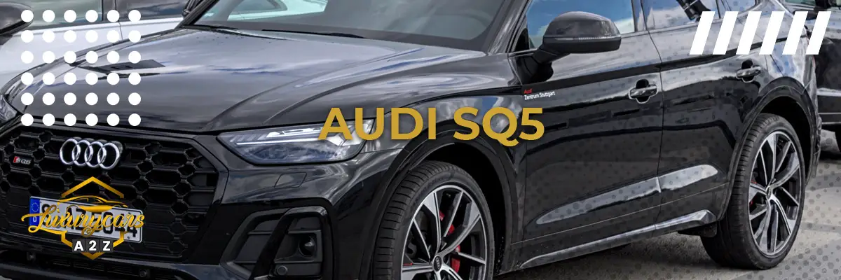 Är Audi SQ5 en bra bil?