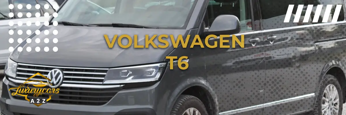 Är Volkswagen T6 en bra skåpbil?