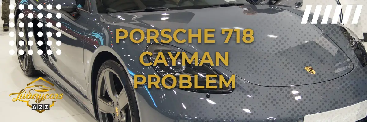 Porsche 718 Cayman problem & fel
