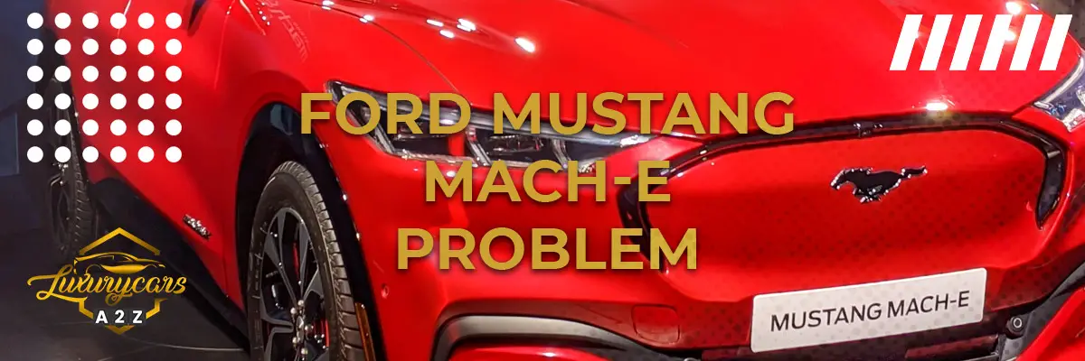 Ford Mustang Mach-E problem & fel