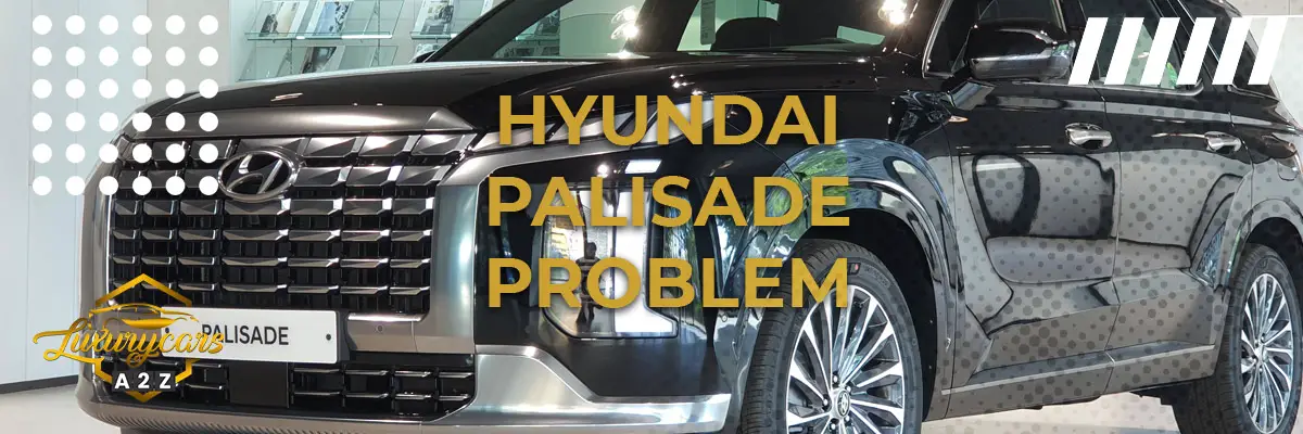 Hyundai Palisade problem & fel